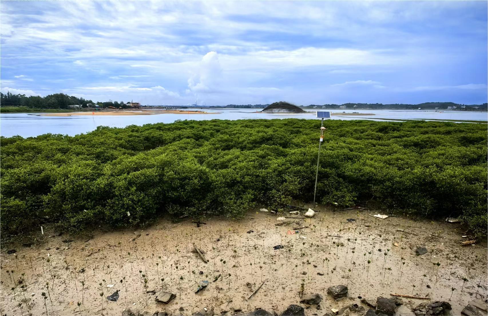 2022年度广西钦州市海洋生态保护修复项目海域使用论证