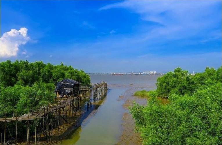 广州市番禺区海鸥岛红树林海岸升级改造与生态修复项目海域使用论证